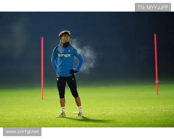 菲利克斯训练完直接去米其林三星，这谁顶得住啊